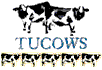 Awards From Tucows